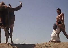 Nigeria fuck with desi sex x mulattoes young